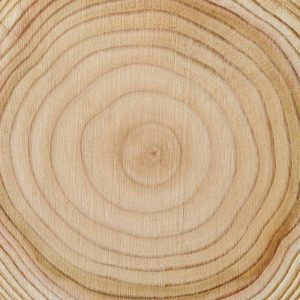 Structure en bois