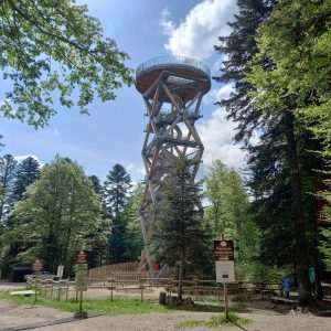 Construction d'aires de jeux en élévation