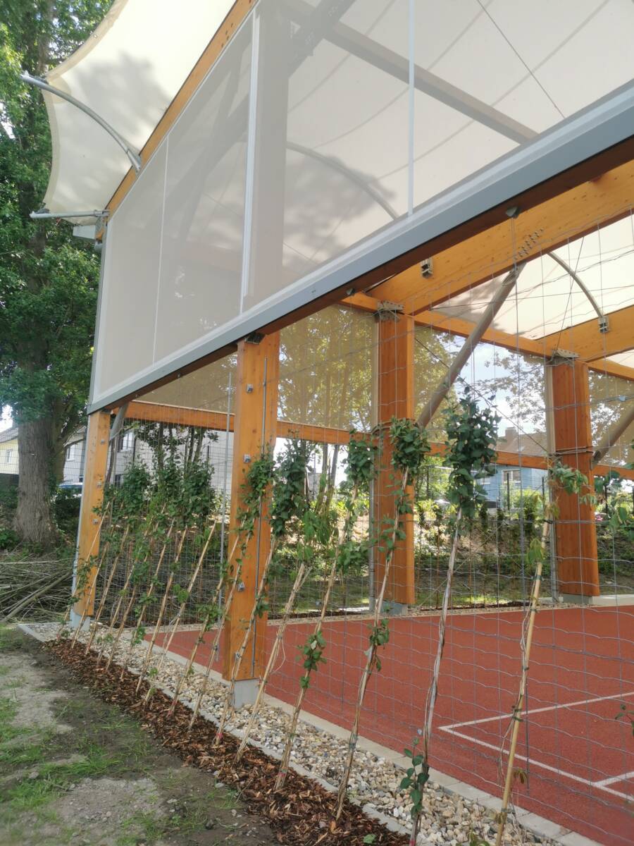 Mass timber and tensile roof sports canopy in Germany